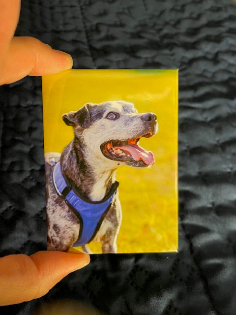 Custom 2.5" by 3.5" Photo Magnets