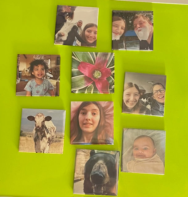 9 pack 2X2 magnets